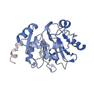30108_6m62_y_v1-0
Cryo-Em structure of eukaryotic pre-60S ribosome subunit from Saccharomyces cerevisiae rpf2 delta 255-344 strain, C4 state.