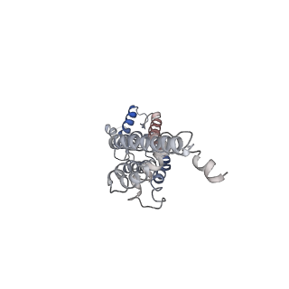 30114_6m66_A_v1-1
The Cryo-EM Structure of Human Pannexin 1