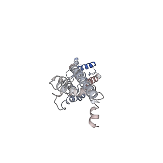 30114_6m66_B_v1-1
The Cryo-EM Structure of Human Pannexin 1