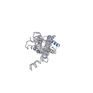 30114_6m66_C_v1-1
The Cryo-EM Structure of Human Pannexin 1