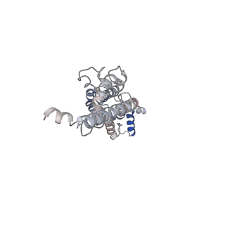 30114_6m66_D_v1-1
The Cryo-EM Structure of Human Pannexin 1