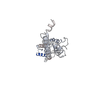 30114_6m66_F_v1-1
The Cryo-EM Structure of Human Pannexin 1