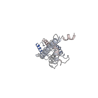30114_6m66_G_v1-1
The Cryo-EM Structure of Human Pannexin 1