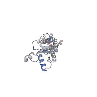 30115_6m67_A_v1-1
The Cryo-EM Structure of Human Pannexin 1 with D376E/D379E Mutation