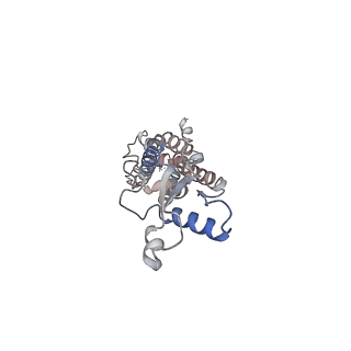 30115_6m67_B_v1-1
The Cryo-EM Structure of Human Pannexin 1 with D376E/D379E Mutation