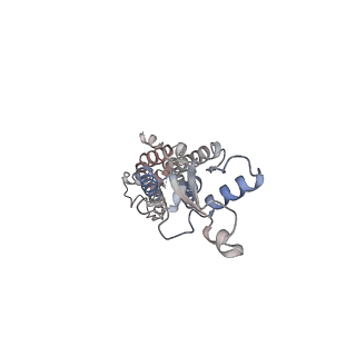 30115_6m67_C_v1-1
The Cryo-EM Structure of Human Pannexin 1 with D376E/D379E Mutation