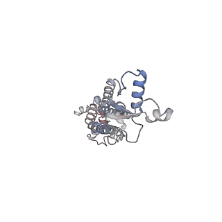 30115_6m67_D_v1-1
The Cryo-EM Structure of Human Pannexin 1 with D376E/D379E Mutation