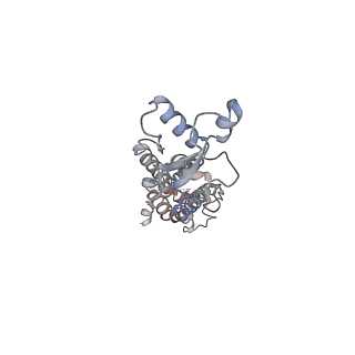 30115_6m67_E_v1-1
The Cryo-EM Structure of Human Pannexin 1 with D376E/D379E Mutation