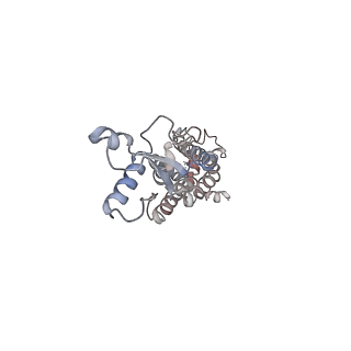 30115_6m67_G_v1-1
The Cryo-EM Structure of Human Pannexin 1 with D376E/D379E Mutation