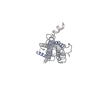 30116_6m68_A_v1-1
The Cryo-EM Structure of Human Pannexin 1 in the Presence of CBX