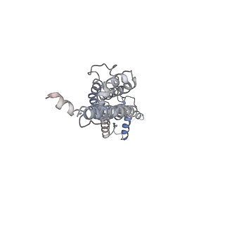 30116_6m68_F_v1-1
The Cryo-EM Structure of Human Pannexin 1 in the Presence of CBX