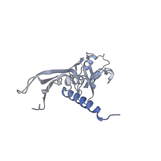 30117_6m6a_A_v1-1
Cryo-EM structure of Thermus thermophilus Mfd in complex with RNA polymerase