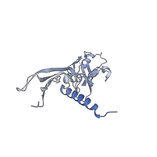 30117_6m6a_A_v1-2
Cryo-EM structure of Thermus thermophilus Mfd in complex with RNA polymerase