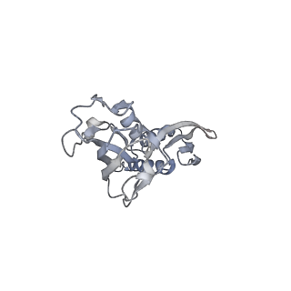 30117_6m6a_B_v1-1
Cryo-EM structure of Thermus thermophilus Mfd in complex with RNA polymerase