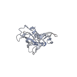 30117_6m6a_B_v1-2
Cryo-EM structure of Thermus thermophilus Mfd in complex with RNA polymerase