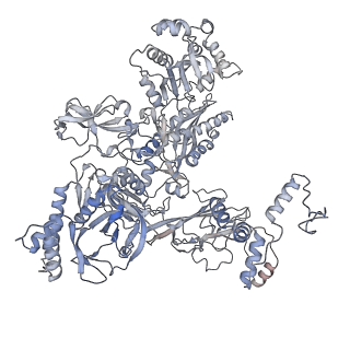 30117_6m6a_C_v1-1
Cryo-EM structure of Thermus thermophilus Mfd in complex with RNA polymerase