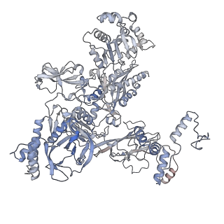 30117_6m6a_C_v1-2
Cryo-EM structure of Thermus thermophilus Mfd in complex with RNA polymerase