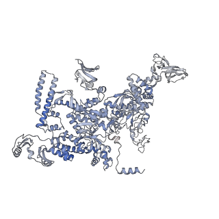 30117_6m6a_D_v1-1
Cryo-EM structure of Thermus thermophilus Mfd in complex with RNA polymerase