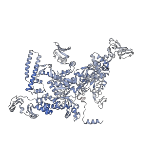 30117_6m6a_D_v1-2
Cryo-EM structure of Thermus thermophilus Mfd in complex with RNA polymerase