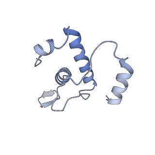 30117_6m6a_E_v1-2
Cryo-EM structure of Thermus thermophilus Mfd in complex with RNA polymerase