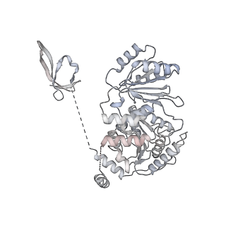 30117_6m6a_M_v1-1
Cryo-EM structure of Thermus thermophilus Mfd in complex with RNA polymerase