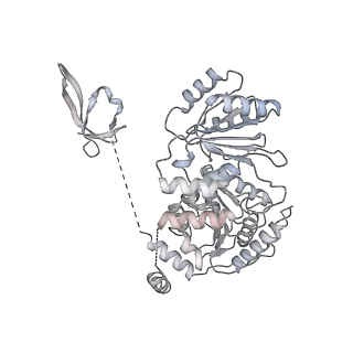 30117_6m6a_M_v1-2
Cryo-EM structure of Thermus thermophilus Mfd in complex with RNA polymerase