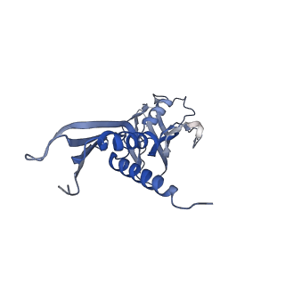 30118_6m6b_A_v1-1
Cryo-EM structure of Thermus thermophilus Mfd in complex with RNA polymerase and ATP-gamma-S
