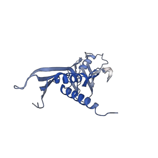 30118_6m6b_A_v1-2
Cryo-EM structure of Thermus thermophilus Mfd in complex with RNA polymerase and ATP-gamma-S