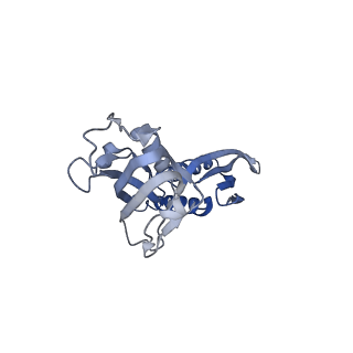 30118_6m6b_B_v1-1
Cryo-EM structure of Thermus thermophilus Mfd in complex with RNA polymerase and ATP-gamma-S