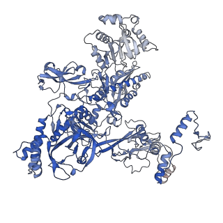 30118_6m6b_C_v1-1
Cryo-EM structure of Thermus thermophilus Mfd in complex with RNA polymerase and ATP-gamma-S