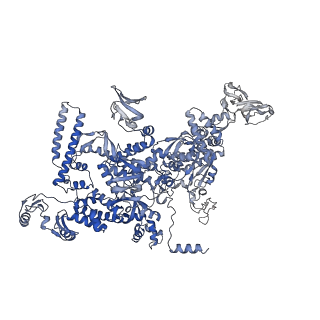 30118_6m6b_D_v1-1
Cryo-EM structure of Thermus thermophilus Mfd in complex with RNA polymerase and ATP-gamma-S