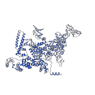 30118_6m6b_D_v1-2
Cryo-EM structure of Thermus thermophilus Mfd in complex with RNA polymerase and ATP-gamma-S