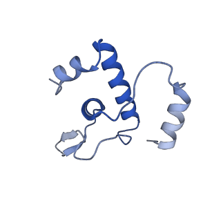 30118_6m6b_E_v1-2
Cryo-EM structure of Thermus thermophilus Mfd in complex with RNA polymerase and ATP-gamma-S