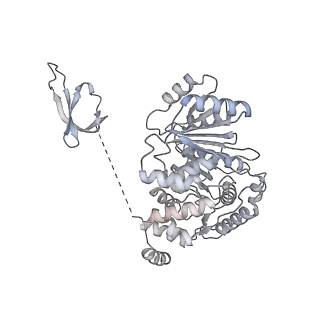 30118_6m6b_M_v1-2
Cryo-EM structure of Thermus thermophilus Mfd in complex with RNA polymerase and ATP-gamma-S