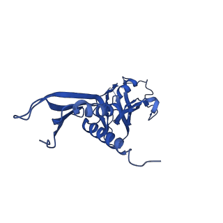 30119_6m6c_A_v1-1
CryoEM structure of Thermus thermophilus RNA polymerase elongation complex