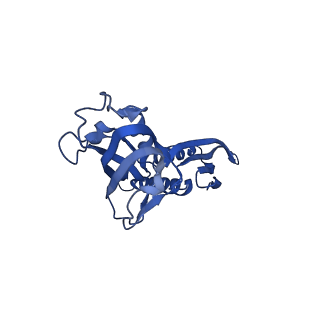 30119_6m6c_B_v1-1
CryoEM structure of Thermus thermophilus RNA polymerase elongation complex