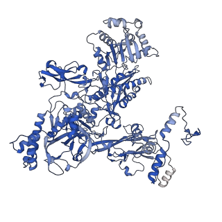 30119_6m6c_C_v1-1
CryoEM structure of Thermus thermophilus RNA polymerase elongation complex