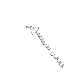 30124_6m6h_I_v1-0
Structure of HSV2 C-capsid portal vertex
