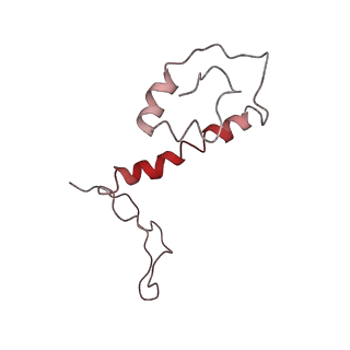 30124_6m6h_L_v1-0
Structure of HSV2 C-capsid portal vertex