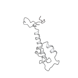 30124_6m6h_N_v1-0
Structure of HSV2 C-capsid portal vertex