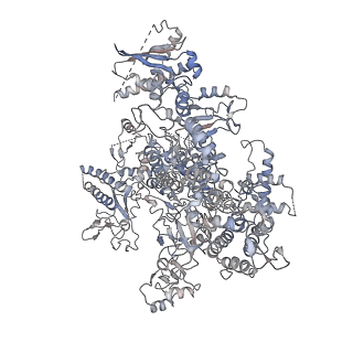 3449_5m64_A_v1-4
RNA Polymerase I elongation complex with A49 tandem winged helix domain