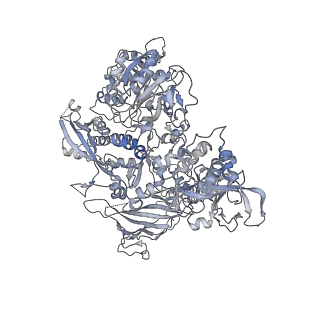 3449_5m64_B_v1-4
RNA Polymerase I elongation complex with A49 tandem winged helix domain