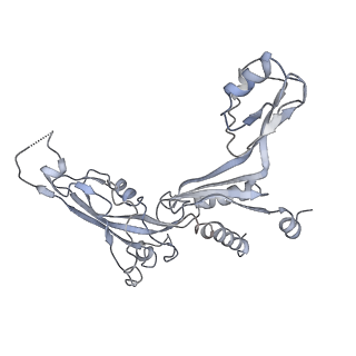 3449_5m64_C_v1-4
RNA Polymerase I elongation complex with A49 tandem winged helix domain