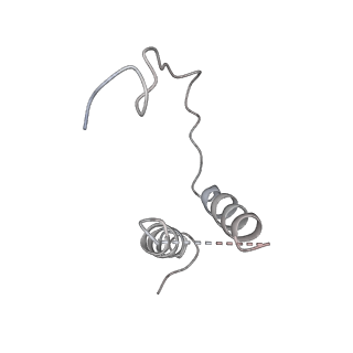 3449_5m64_D_v1-4
RNA Polymerase I elongation complex with A49 tandem winged helix domain