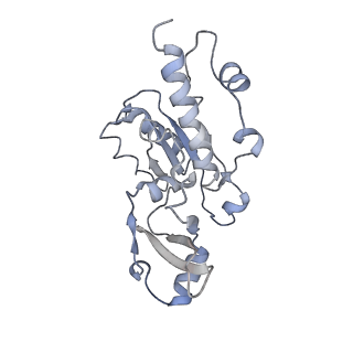 3449_5m64_E_v1-4
RNA Polymerase I elongation complex with A49 tandem winged helix domain