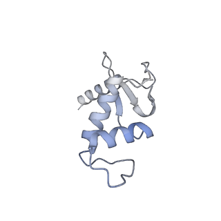 3449_5m64_F_v1-4
RNA Polymerase I elongation complex with A49 tandem winged helix domain