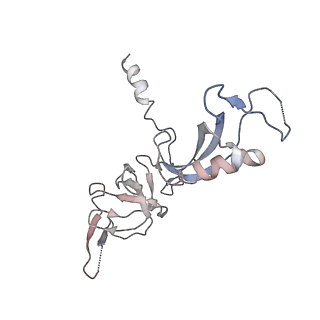 3449_5m64_G_v1-4
RNA Polymerase I elongation complex with A49 tandem winged helix domain