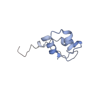3449_5m64_J_v1-4
RNA Polymerase I elongation complex with A49 tandem winged helix domain