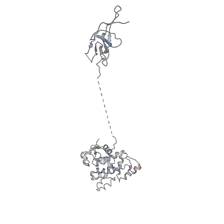 3449_5m64_M_v1-4
RNA Polymerase I elongation complex with A49 tandem winged helix domain