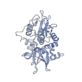 23708_7m74_G_v1-1
ATP-bound AMP-activated protein kinase